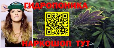 стафф Мариинск