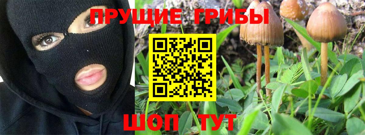 Псилоцибиновые грибы прущие грибы  Вход с VPN  цена   Троицк 