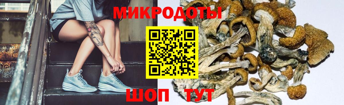 Псилоцибиновые грибы ЛСД Троицк